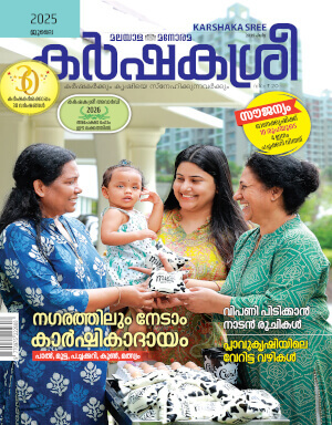 vanihta
